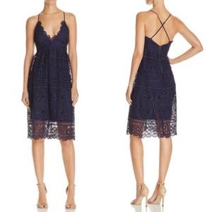 NWT French Navy Bardot Versailles Lace Midi Dress (US size 0)